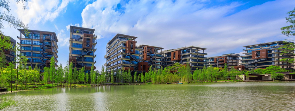 太陽能路燈，太陽能廠家，太陽能價格