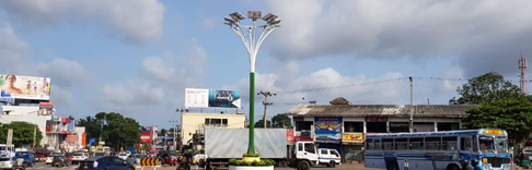 這樣獨具特色的太陽能路燈你見過嗎？