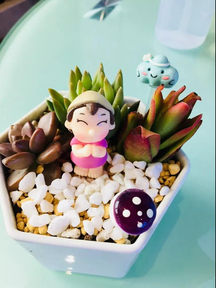 女神節(jié)快樂(lè) | 女神節(jié)就要玩出不一樣……