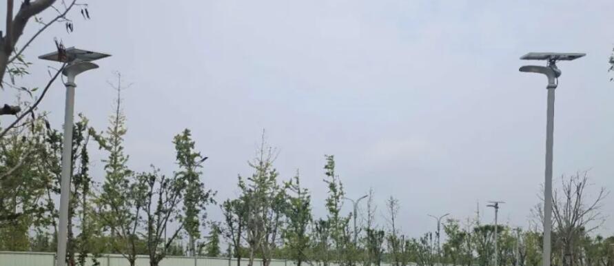 晴空排云雁高飛，源碼項(xiàng)目掀熱潮