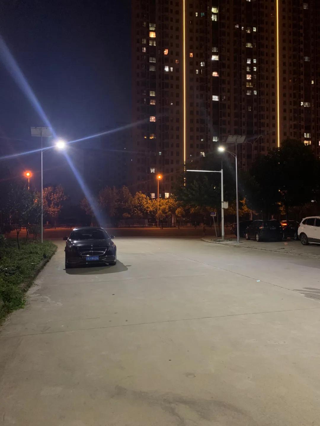 云鵬燈〡九萬里風安稅駕，云鵬今悔不卑飛