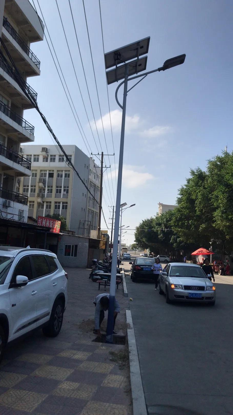 云鵬燈〡九萬里風安稅駕，云鵬今悔不卑飛